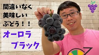 シャインマスカットの次はこれだ！CoCo一押しぶどう【 オーロラブラック 】