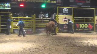 [Deelip.com] SolidWorks World 2011 - Bull Riding