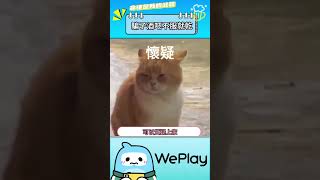 WePlay也能玩到騙子酒吧了，快下載試試吧 #shorts #5833