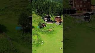 Rize Ayder Yaylası