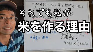 非効率でも米、麦、野菜を無農薬無肥料で栽培する理由【食糧自給】2022年6月19日