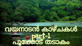 Wayanad Trip|പൂക്കോട് തടാകം|Pookode Lake|part-1|molis vadakkini