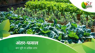 Intercropping - अंतरफसल - कम भूमि से अधिक लाभ | KhetiFresh