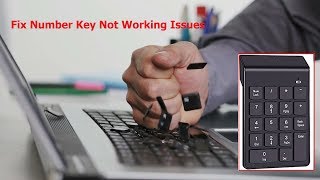 How to Fix Laptop or PC Number Key Not Working in Windows 10/8/7