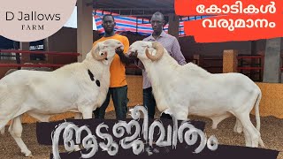 ആട് വളർത്തൽ... കോടികൾ വരുമാനം | CATTLE FARM #cattle farm #Aaduvalarthal  #aadujeevitham