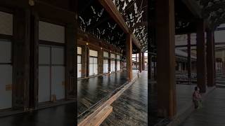 西本願寺 #vr映像 #京都 #寺院 #親鸞聖人 #shorts