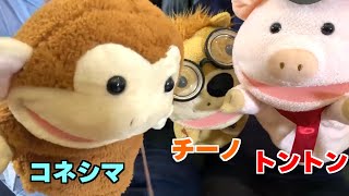 YouTuberトントンとチーノの日常 #shorts