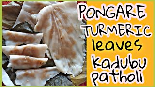 PONGARE(INDIAN CORAL LEAF) \u0026 TURMERIC LEAF SWEET KADUBU /PATHOLI | ಪೊಂಗರೆ ಮತ್ತು ಅರಿಸಿನ ಎಲೆಯ ಕಡುಬು..