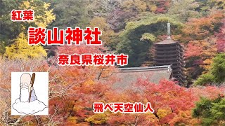 紅葉　奈良　多武峰へ　談山神社　奈良県桜井市　バス車窓　飛べ天空仙人