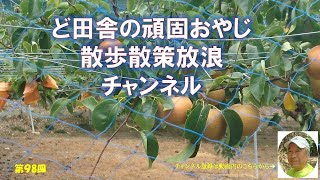 いわき梨｜発祥の地｜小川町｜赤井｜棚倉藩の政策｜梨の品種は幸水｜コロナ感染渦中｜暮らしを楽しむ｜軽々と生きる｜自然の営み｜小さな旅｜ストレス発散｜ささやかな発見｜心の栄養｜癒し｜田舎の頑固おやじ