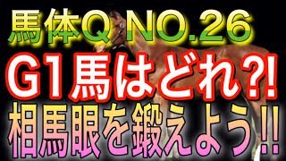 【競馬】 馬体の見方　実践編 一口馬主の出資やパドックからの馬券に活かせる！　horse race   racehorse Japan