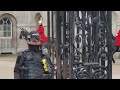 Horse starts to freak out on the change over #horseguardsparade