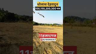 धोलाश देहरादून मे सबसे सस्ते प्लॉट|new ploting dholash dehradun |#viralvideo #dehradun #dehli #up