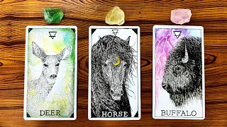 THE HONEST TRUTH ABOUT YOUR CURRENT SITUATION! 🍀🌙🔮 | Pick a Card Tarot Reading