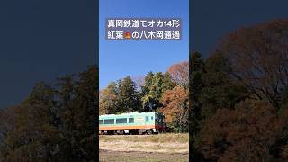 4Kshorts　真岡鉄道 モオカ14型ディーゼルカー　紅葉の八木岡通過　[Moka railway] Diesel-car class Moka-14 passing Yagioka, Moka