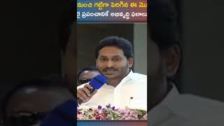 పిల్ల లు బాగు కోరుకున్న వ్యక్తీ