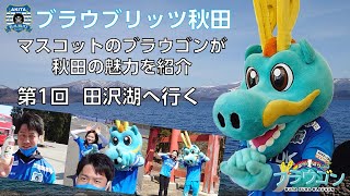 ぶらぶらブラウゴン～第1回～