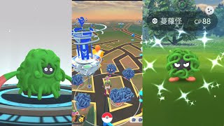 第1隻就抓到色違 蔓藤怪聚焦時刻 星星沙子加倍 有色違 シモンジャラ Tangela Spotlight Hour｜Pokémon GO