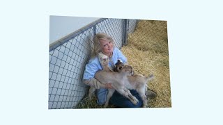 Intuitive veterinary practice management software founded by a DVM