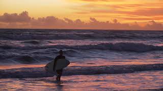 Surfer Walking Out Of Water Video Background, Free Footage, No Copyright, Animations, Stock Footage