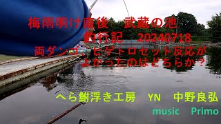 梅雨明け直後　武蔵の池釣行記　20240718 両ダンゴ、ヒゲトロセット反応がよかったのはどちらか？