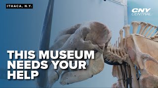 Museum of the Earth in Ithaca faces closure without new donor support