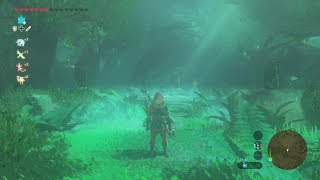 COMO CRUZAR BOSQUE PERDIDO ZELDA BREATH of the WILD