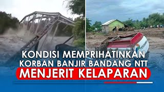 Kondisi Memprihatinkan Korban Banjir Bandang NTT Menjerit Kelaparan