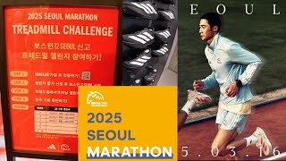 아디다스 프리엑스포 현장/ 얼마이상 구매시 동마티켓지급? / 2025 서울마라톤 에디션 / 트레이드밀 챌린지 1k 도전