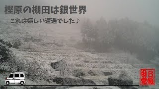 徳島県上勝町の樫原の棚田は銀世界