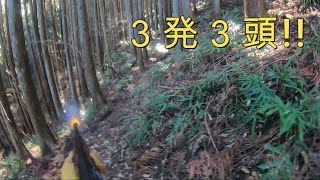 【狩猟】閲覧注意　３発で３頭！！　鹿狩り 巻狩り　DEER　HUNTING