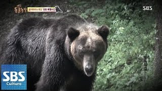 암컷 곰 유토 폭행 사건 @TV동물농장 140720