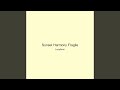 Sunset Harmony Fragile