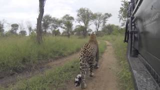 Bicycle Crossing Male visits Kirkman's Kamp