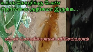 கோழி பேணை இயற்கை முறையில் விரட்டலாம்/Organic treatment for chicken lice...