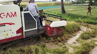 Farmer Friendly Machine GAM Harvester | Bappa,s life