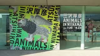 三沢厚彦展　ANIMALS IN NIIHAMA CM（ドローン編）