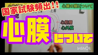 パリピでも生理学　心膜について