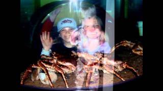 KLAS 2011 graduation slideshow