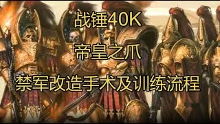 【戰鎚40K】帝皇禁軍改造手術，及新兵訓練介紹