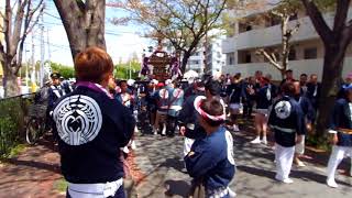 DSCF8004　3年振りに催された半田稲荷神社の神輿