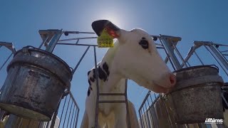 Aims Degree Video - Agricultural Sciences and Technology - Animal Science