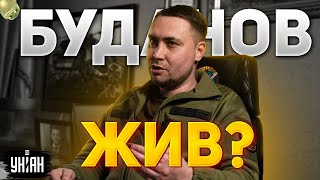 Кива убил Буданова и опозорился. В Украине создали "отряд бессмертных командиров"