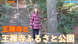 【川崎の公園】冬の王禅寺ふるさと公園を歩いたよ（川崎市麻生区）