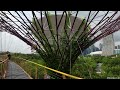 singapore gardens by the bay supertree grove christmas 2024 in 4k