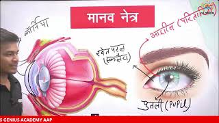 संविदा शिक्षक वर्ग- 2 | HUMAN EYE | WORKING OF HUMAN EYES | STRUCTURE AND FUNCTION OF HUMAN EYES