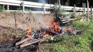 Disposal of dead bamboo! Burning work is going pleasantly smoothly Japan