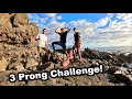 $30 vs $130 Three Prong Challenge / Spearfishing Hawaii Vlog