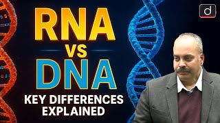 DNA vs RNA Explained: Structure, Function & Key Differences | UPSC | Drishti IAS English
