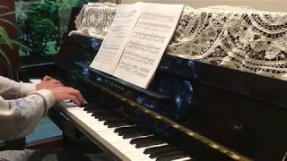 Grieg Piano Concerto 1st Movement - piano solo